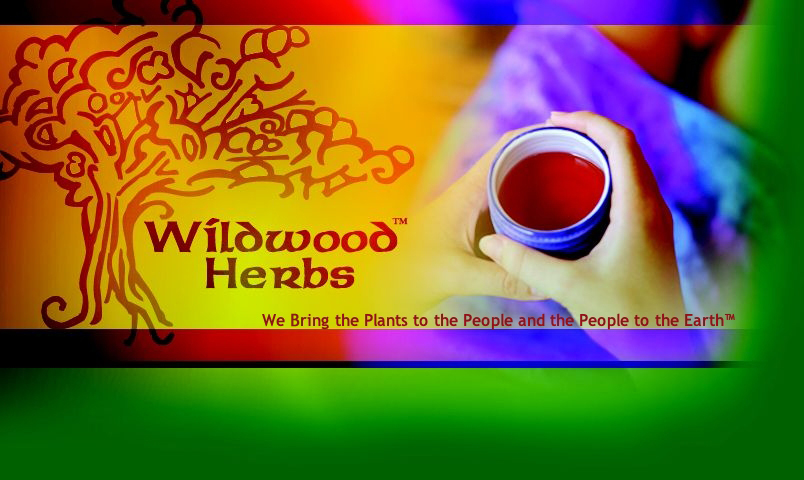 Wildwood Herbs:Organic Herbal Teas, tinctures and aromatherapy smudges for health and wellness.